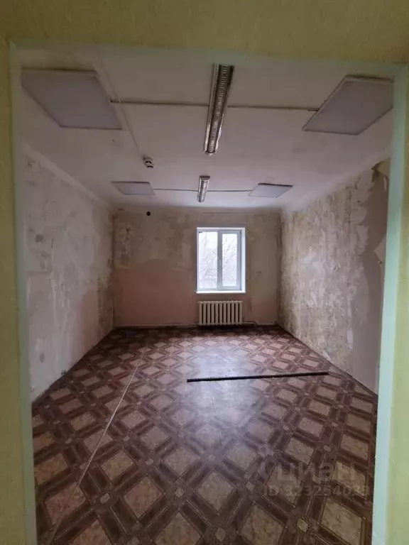 Помещение свободного назначения в Омская область, Омск Братская ул., ... - Фото 2