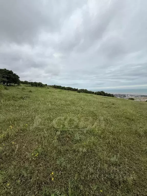 Участок в Дагестан, Дербентский район, с. Джалган ул. Центральная ... - Фото 1