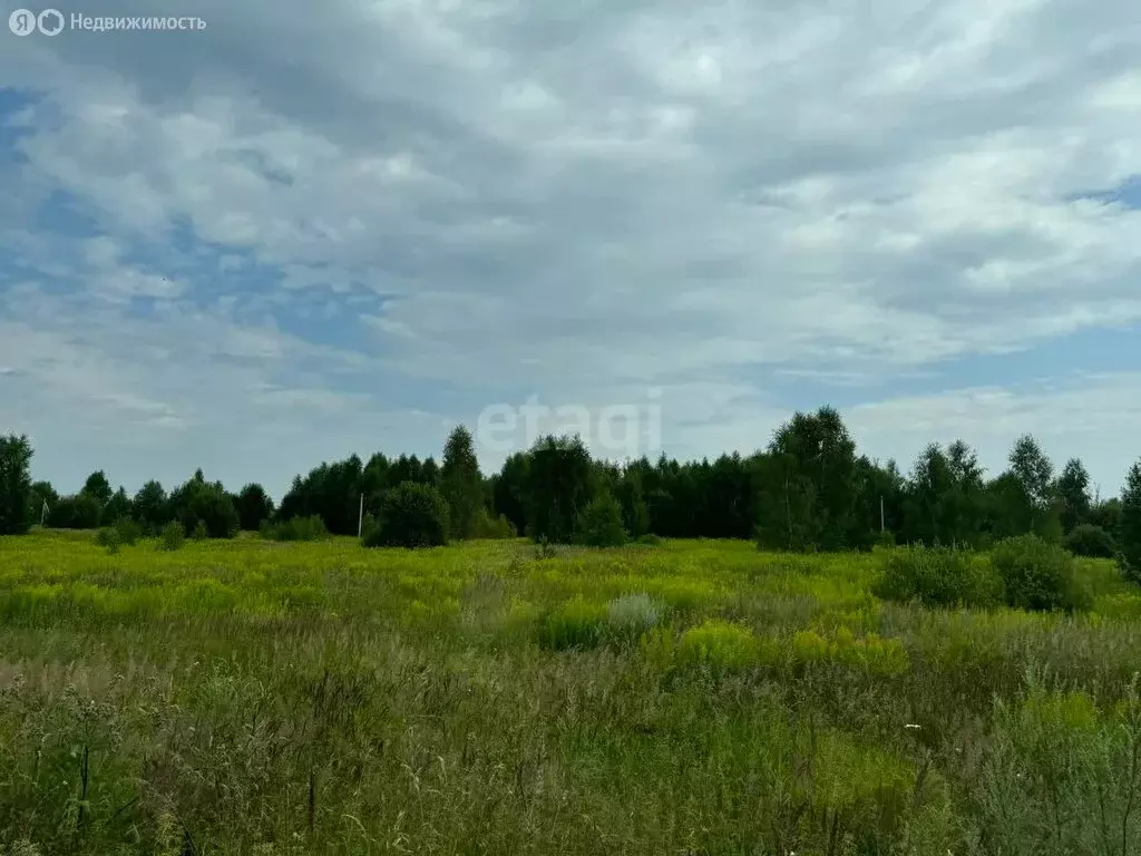 Участок в Нижегородская область, Городецкий муниципальный округ, ... - Фото 0