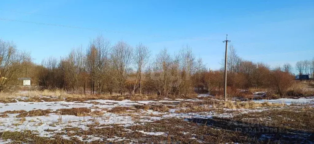 Участок в Вологодская область, Шекснинский муниципальный округ, д. ... - Фото 1