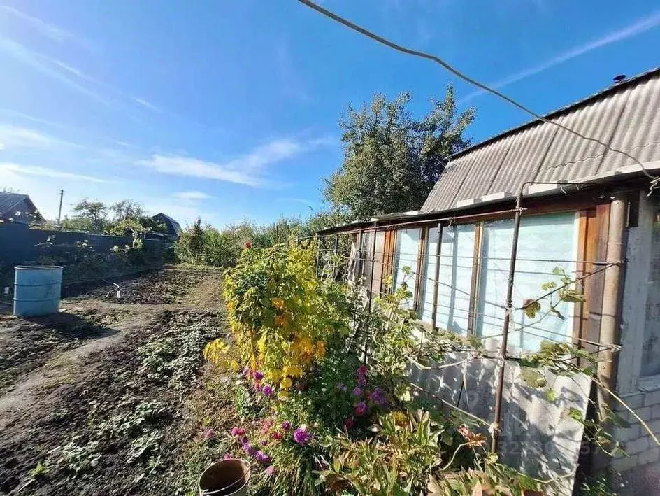 Дом в Воронежская область, Воронеж СНТ Русское Поле ТСН, 211 (33 м) - Фото 2