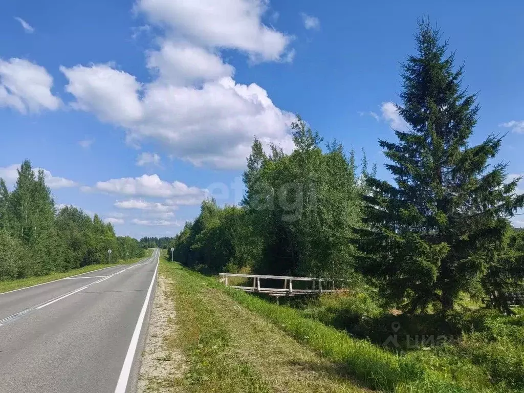 Участок в Вологодская область, Дикая ж/д_ст  (32.0 сот.) - Фото 0