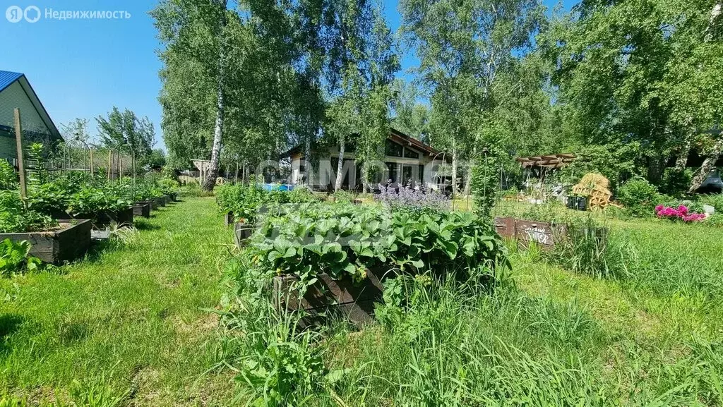 Участок в посёлок Усть-Катунь, Пионерская улица, 1Б (15.96 м) - Фото 2