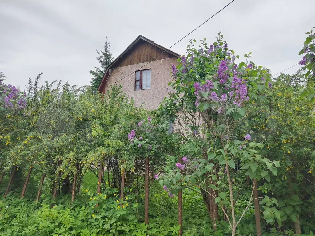 Дом 58 м на участке 6 сот. - Фото 0