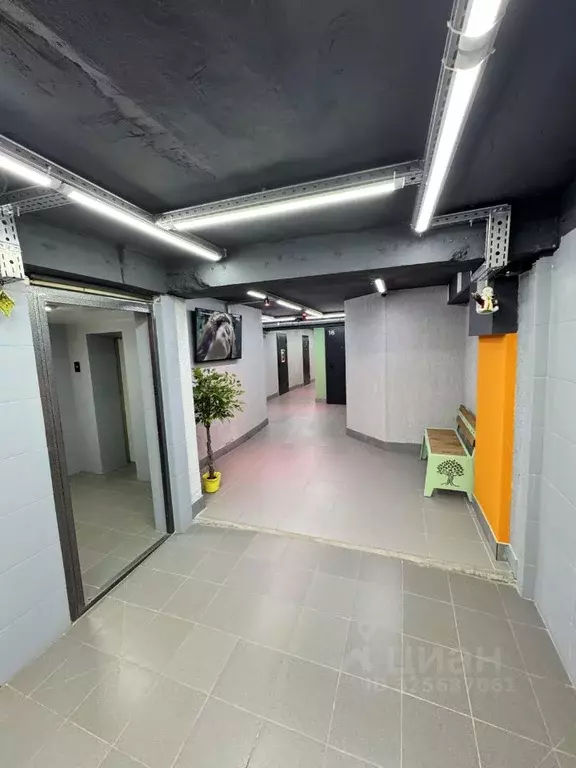 Помещение свободного назначения в Тверская область, Тверь просп. ... - Фото 1