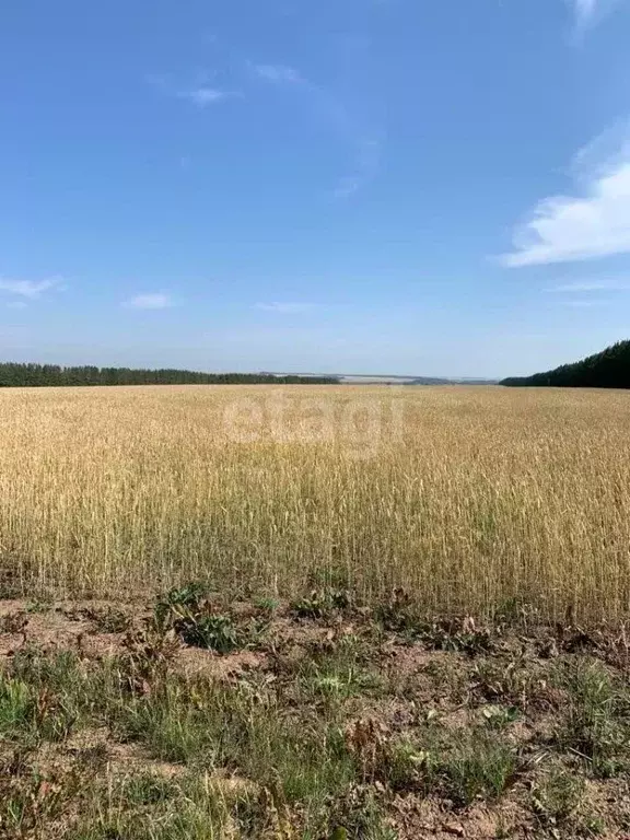 Участок в Удмуртия, Каракулинский район, д. Ендовка  (6124.0 сот.) - Фото 0