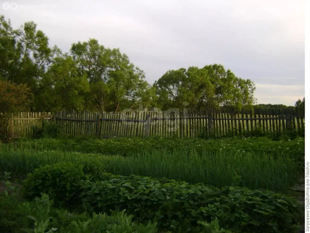 1-комнатная квартира: деревня Ныша, Молодёжная улица, 9 (20 м) - Фото 1