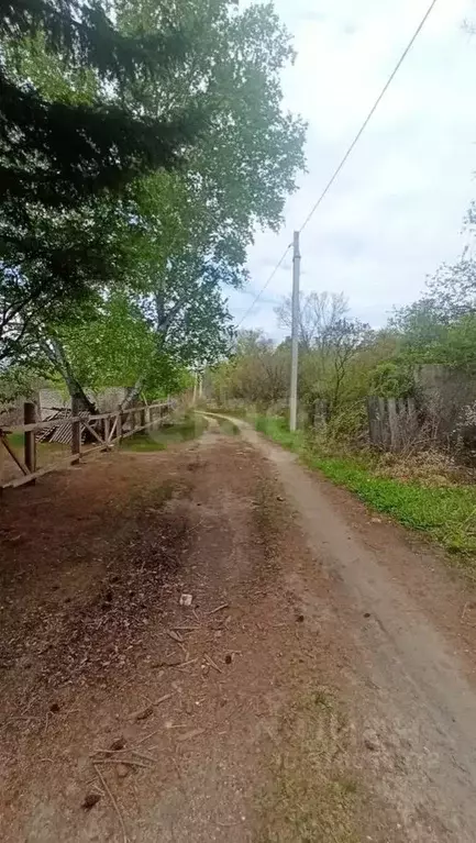 Участок в Амурская область, Благовещенск Игнатьевское ш. (6.0 сот.) - Фото 1