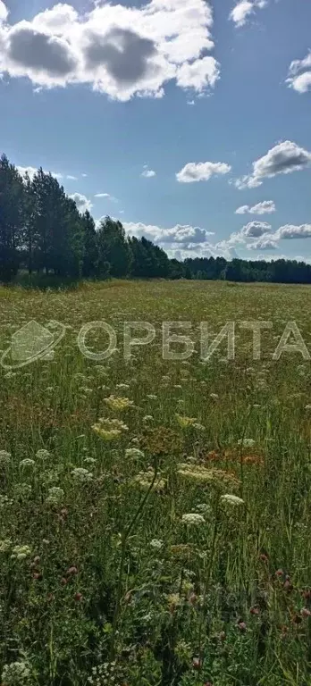 участок в тюменская область, тюменский район, с. кулаково (10.0 сот.) - Фото 1