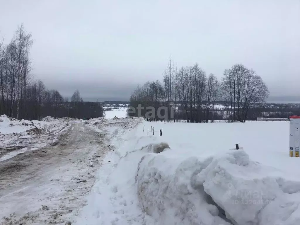 Участок в Вологодская область, Череповецкий район, Югское ... - Фото 1