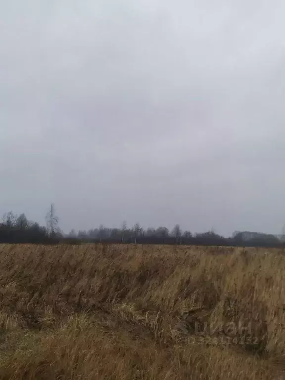 Участок в Московская область, Шатура пл. Ленина (15.0 сот.) - Фото 2