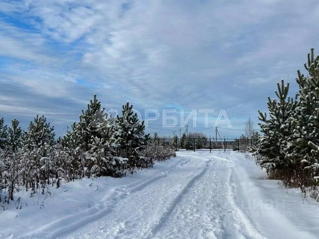 Участок в Тюменская область, Тюменский район, д. Елань ул. Сосновая ... - Фото 0