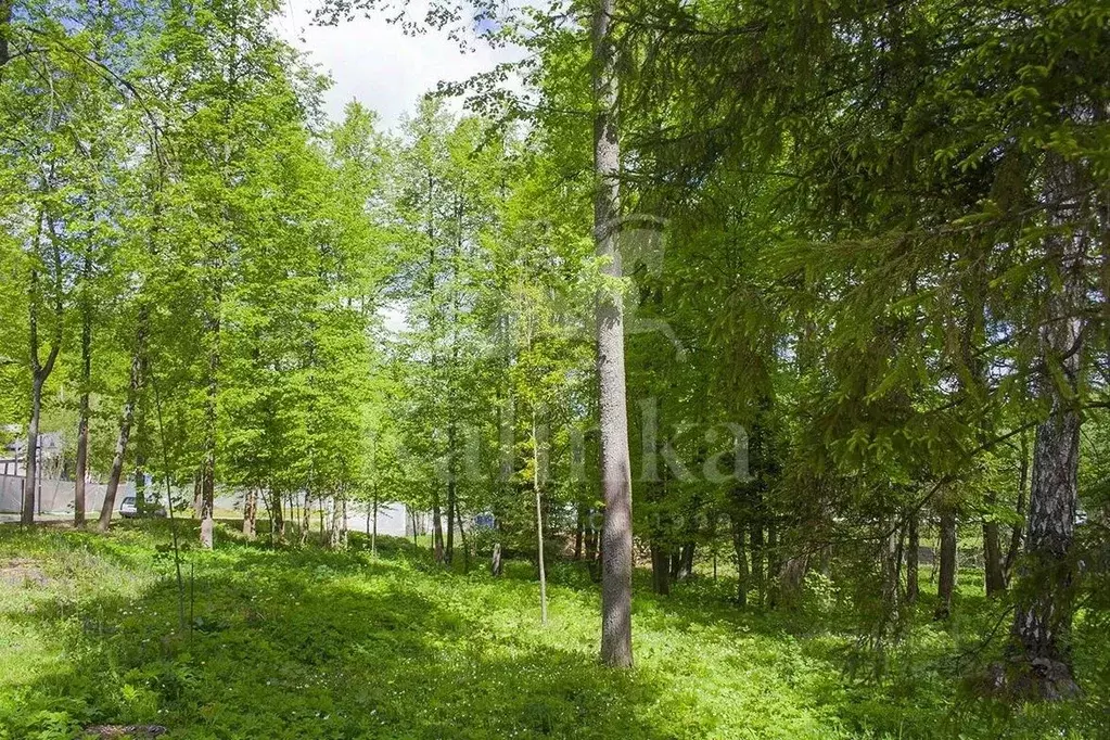 Участок в Московская область, Одинцовский городской округ, д. ... - Фото 0