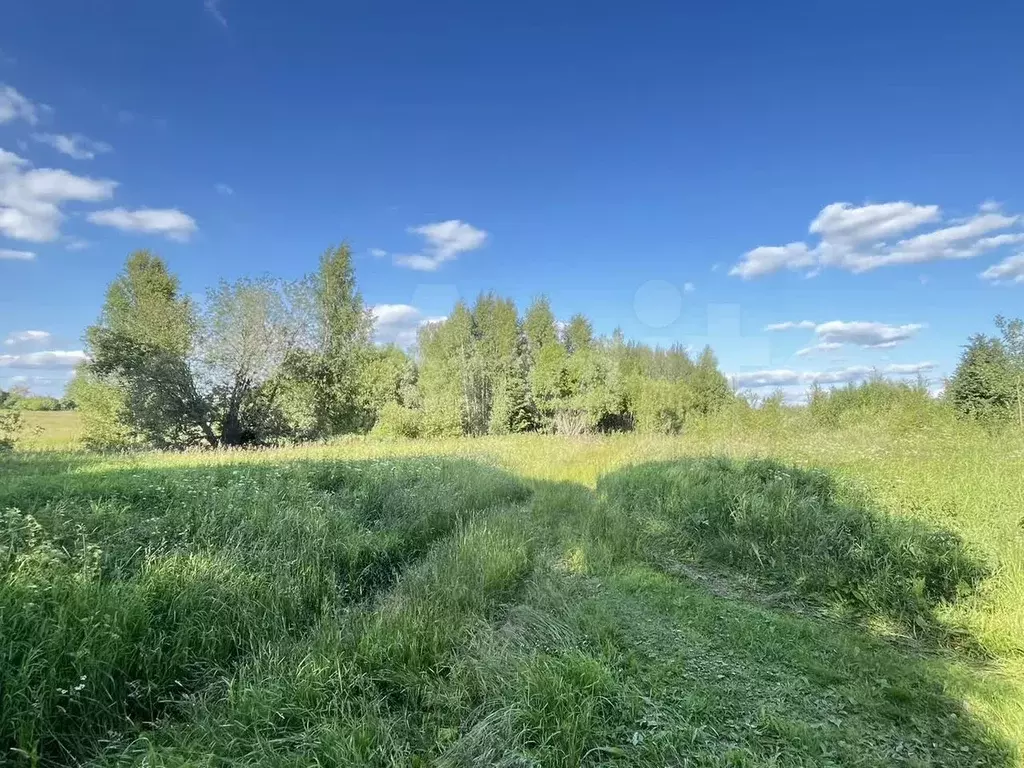 Участок 27,5 сот. (личное подсобное хозяйство (лпх)) - Фото 0