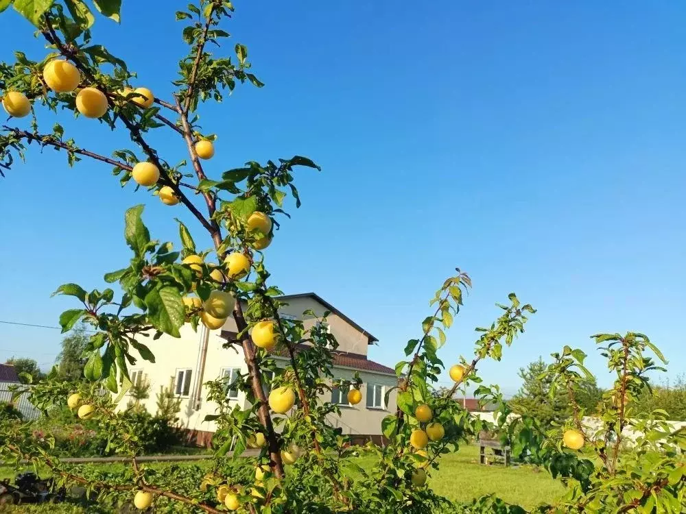 Коттедж в Тульская область, Заокский район, Малаховское с/пос, ... - Фото 1