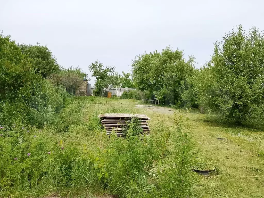 Участок 6 сот. (СНТ, ДНП) - Фото 0