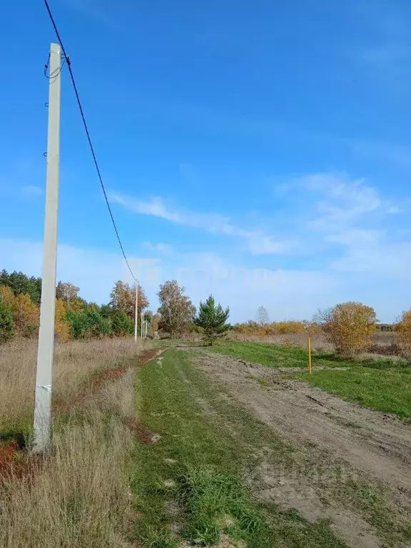 Участок в Алтайский край, Барнаул городской округ, пос. Ягодное ул. ... - Фото 1