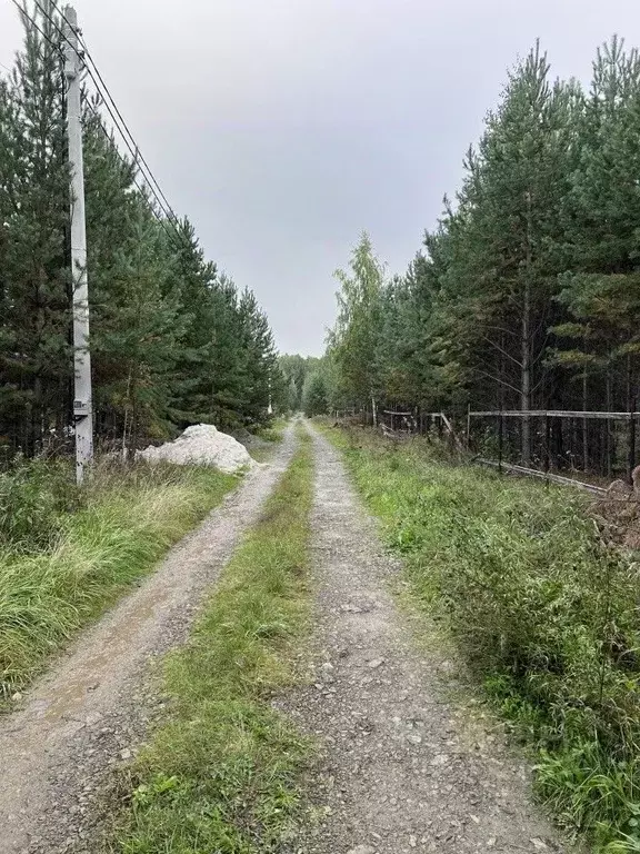 Участок в Свердловская область, Екатеринбург Лесные Тропы тер.,  (10.0 ... - Фото 1