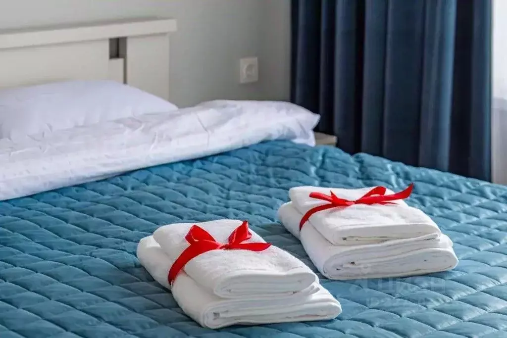 2-к кв. Москва Новоданиловская наб., 8к2 (51.0 м) - Фото 2