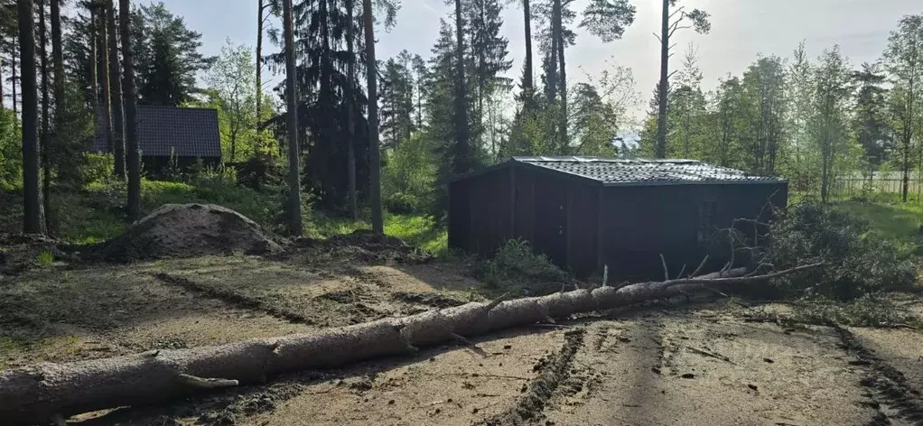 Участок в Ленинградская область, Приозерский район, пос. Сосново  ... - Фото 2