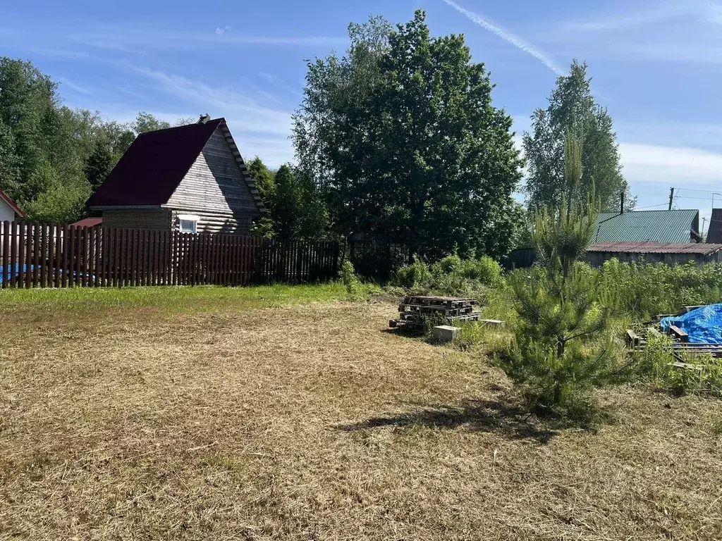 Участок в Ленинградская область, Кингисеппский район, Большелуцкое ... - Фото 2