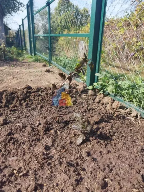 Участок в Тульская область, Тула Строитель ПСО Тулгорстрой СНТ,  (6.3 ... - Фото 2