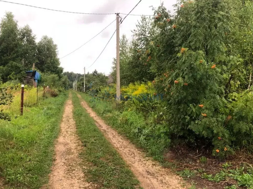 Участок в Нижегородская область, Богородский муниципальный округ, ... - Фото 2