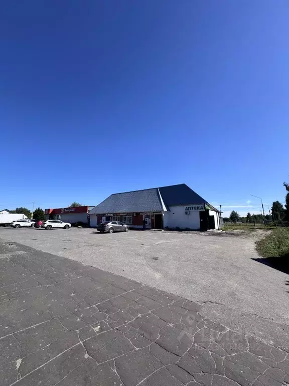 Участок в Московская область, Богородский городской округ, д. ... - Фото 2