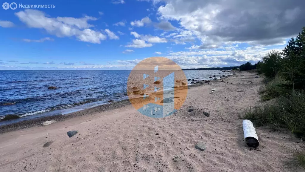 Участок в Прионежский район, Рыборецкое сельское поселение, село ... - Фото 2