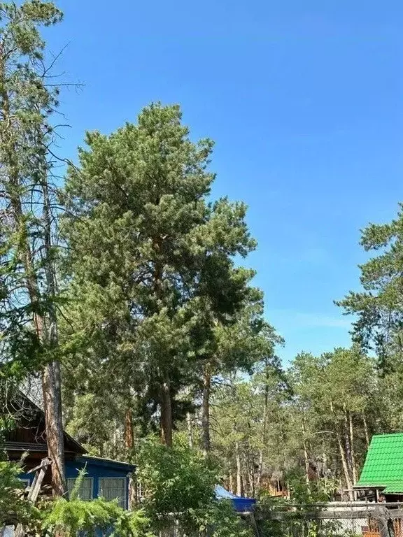 Дом в Саха (Якутия), Якутск Луговая ул., 73 (36 м) - Фото 1