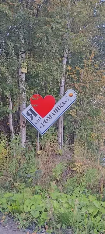 Участок в Архангельская область, Приморский муниципальный округ, ... - Фото 0