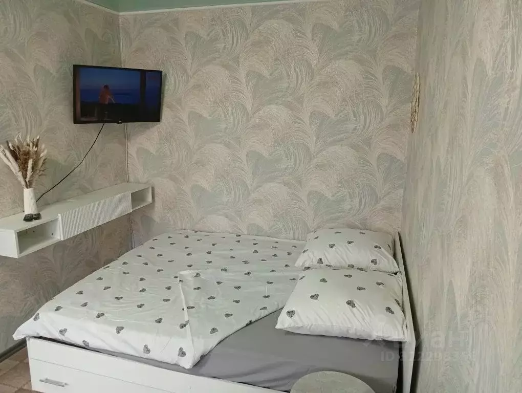 1-к кв. Владимирская область, Кольчугино пос. Белая Речка, Молодежная ... - Фото 2