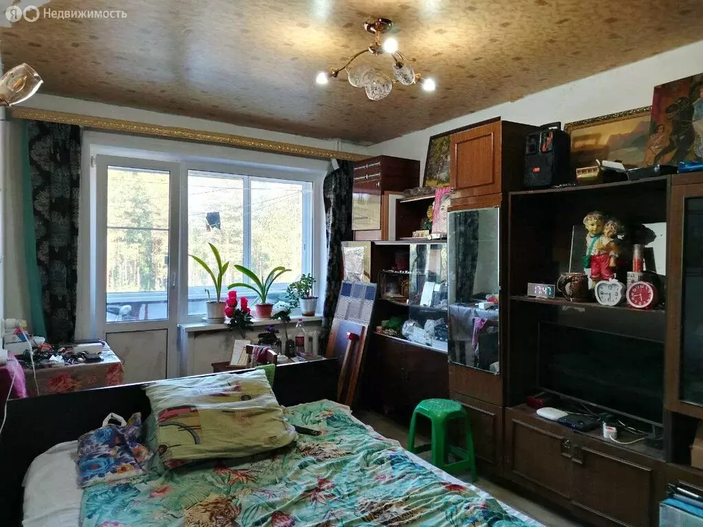 1-комнатная квартира: посёлок Нерехта, Молодёжная улица, 5 (32.8 м) - Фото 1
