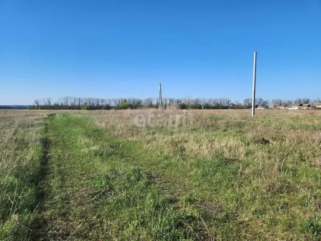 Участок в Липецкая область, Хлевенский район, Конь-Колодезский ... - Фото 1