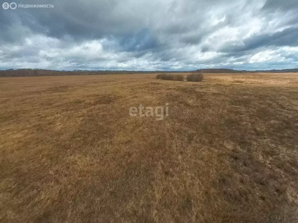 Участок в Тюменский район, село Салаирка (10 м) - Фото 1