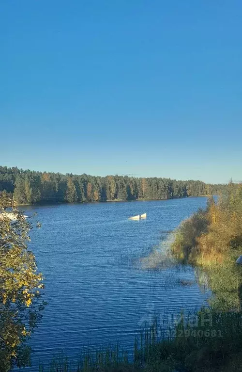 1-к кв. Ленинградская область, Выборгский район, Рощино пгт ул. ... - Фото 1