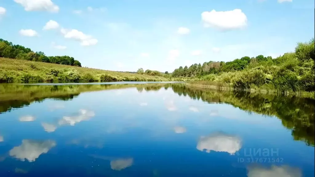Дом в Калужская область, Дзержинский район, Угорское с/пос, д. Звизжи ... - Фото 2