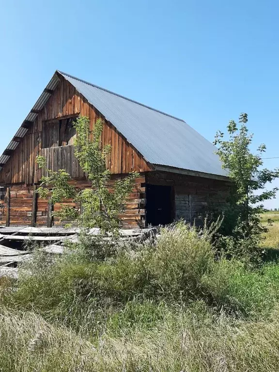 Дом в Алтайский край, Калманский район, с. Калистратиха  (57 м) - Фото 1