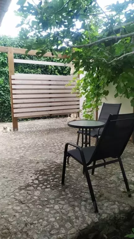 Дом в Крым, Черноморский район, Оленевское с/пос, с. Оленевка  (43 м) - Фото 2