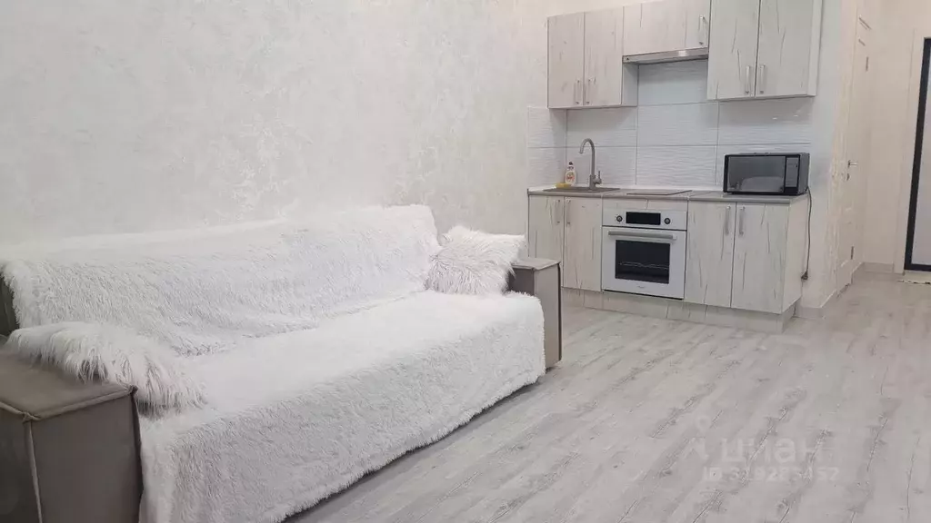 Студия Московская область, Раменское ул. Семейная, 1 (28.0 м) - Фото 2