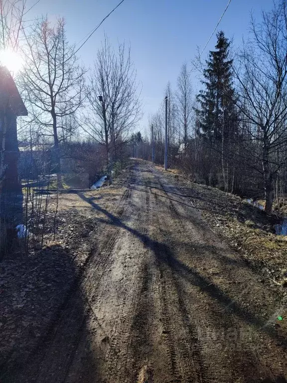 Участок в Новгородская область, Новгородский муниципальный район, ... - Фото 1