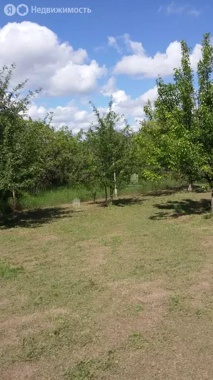Дом в Неклиновский район, село Синявское (12 м) - Фото 1