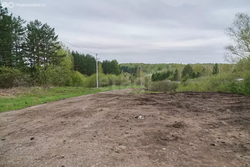 Участок в Кемеровский муниципальный округ, садоводческое ... - Фото 1