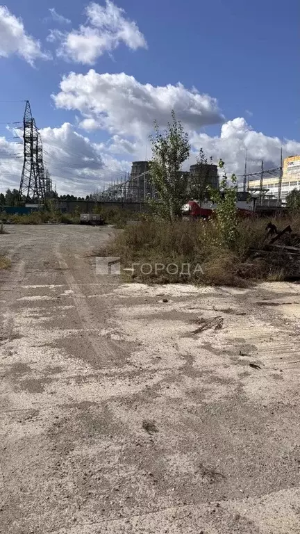 Склад в Алтайский край, Барнаул ул. Трактовая, 5Д (1138 м) - Фото 1