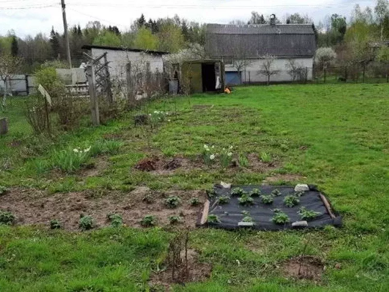 Участок в Красноярск, СНТ Победа, улица Бригада № 14, 96 (4.9 м) - Фото 2