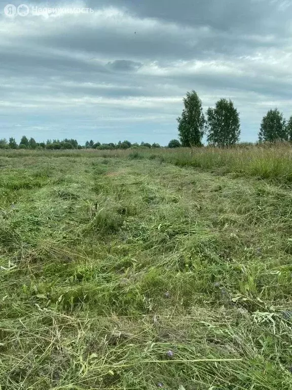 Участок в Кострома, Счастливая улица (11.77 м) - Фото 2