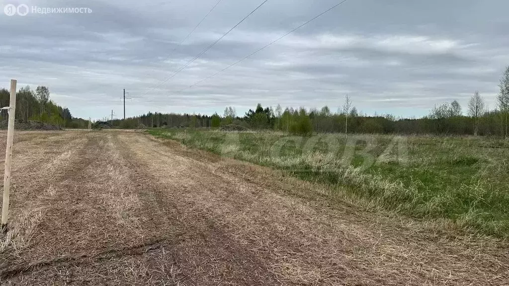 Участок в Свердловская область, Тугулымский муниципальный округ, ... - Фото 1