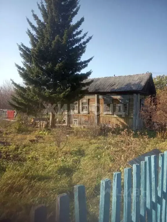 Дом в Новосибирская область, Мошковский район, с. Белоярка Центральная ... - Фото 0