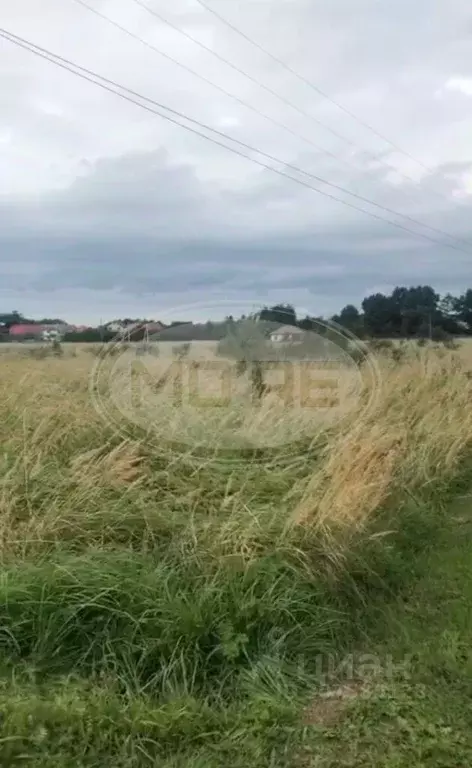 Участок в Калининградская область, Гурьевский муниципальный округ, ... - Фото 1