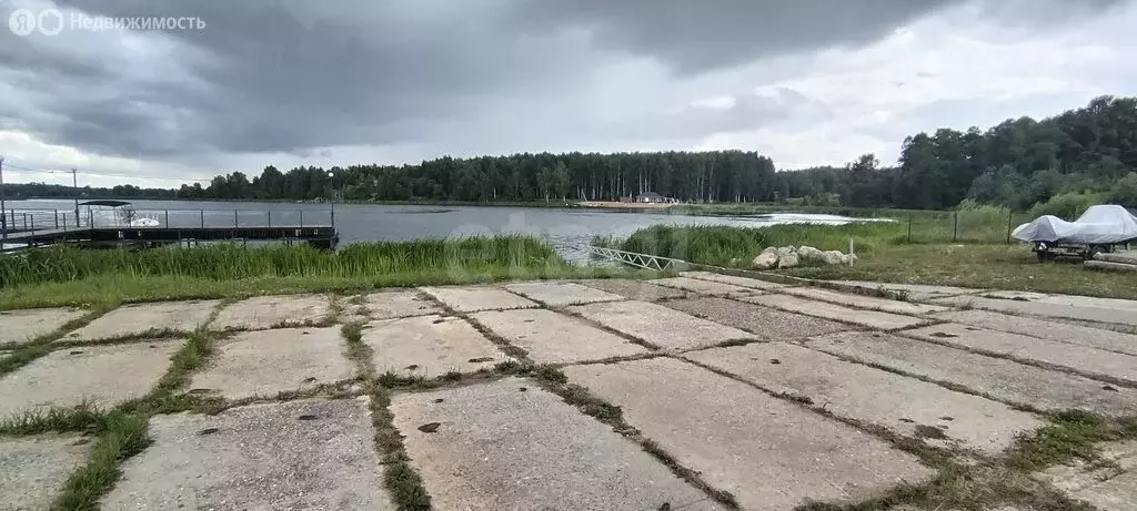 Участок в Костромская область, Красносельский муниципальный округ, ... - Фото 2